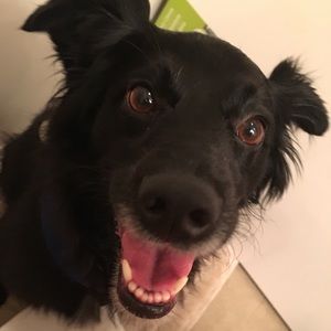 Meet your Posher, Mackenzie